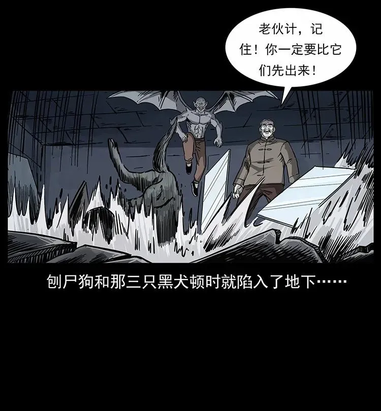 252 危机！危机 第55页