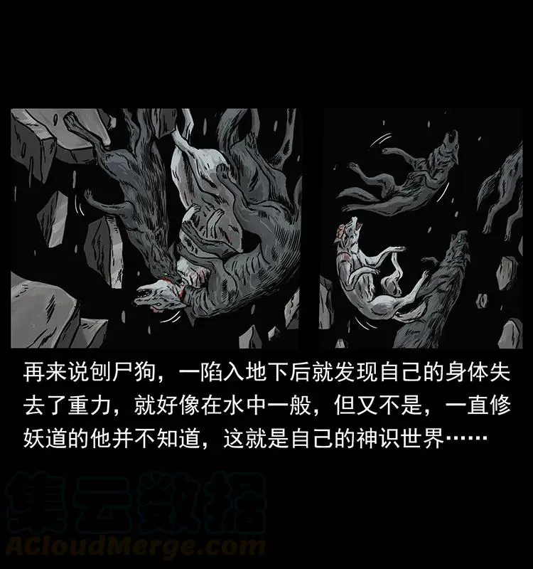 252 危机！危机 第57页