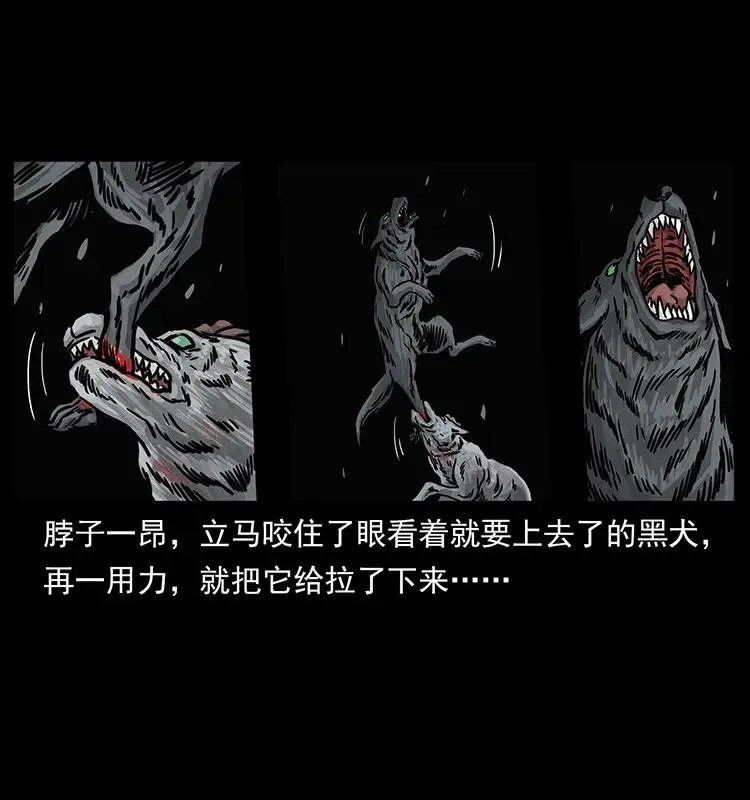 252 危机！危机 第60页