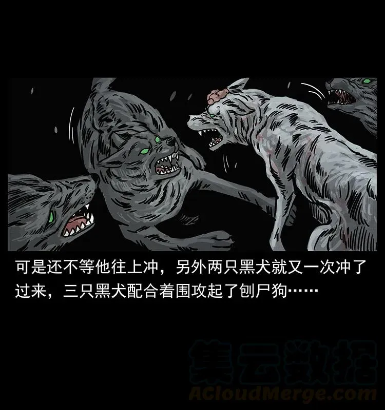 252 危机！危机 第61页