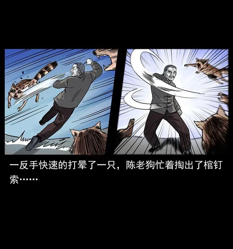 252 危机！危机 第70页