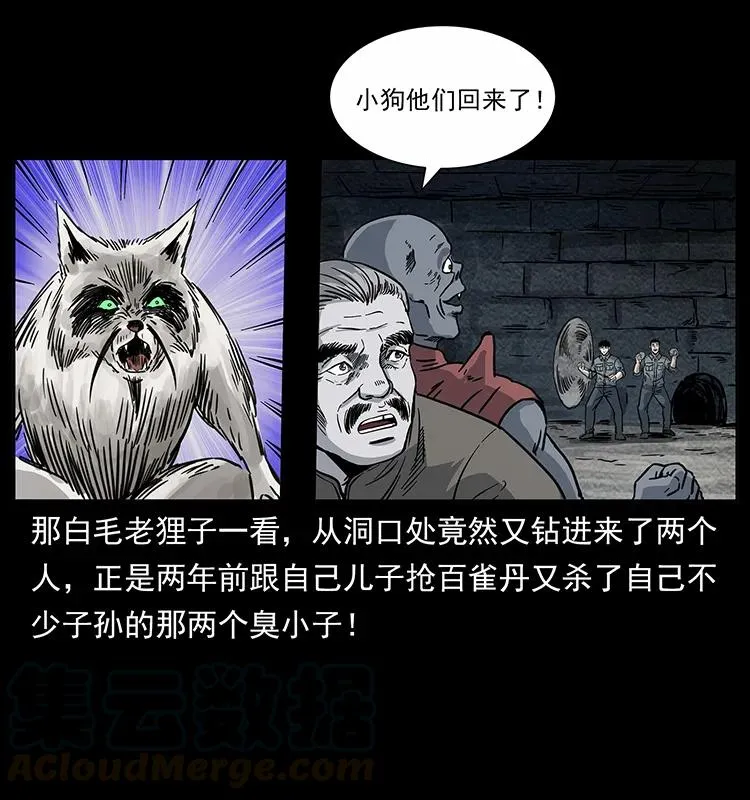 252 危机！危机 第77页