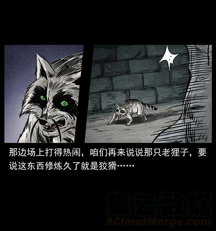 252 危机！危机 第81页