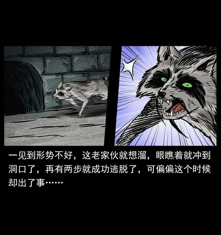 252 危机！危机 第82页