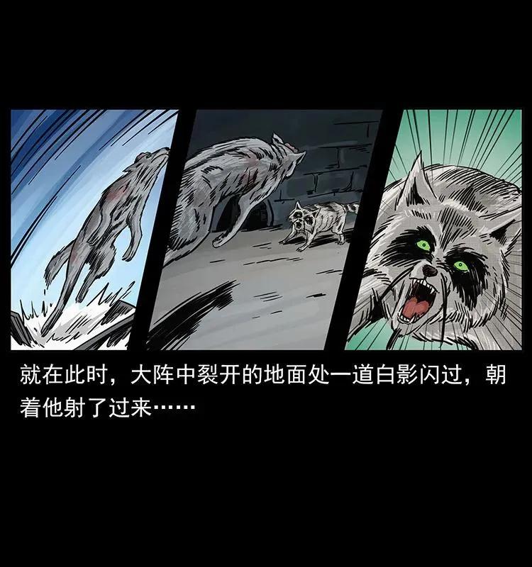 252 危机！危机 第83页