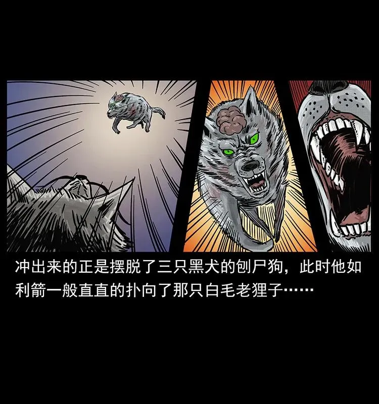 252 危机！危机 第84页