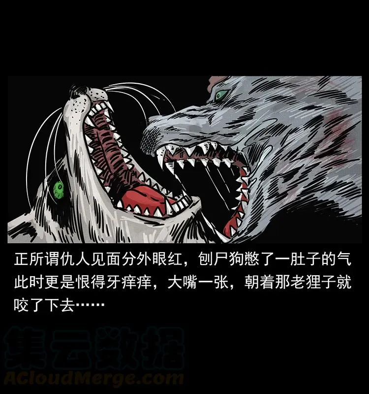 252 危机！危机 第85页