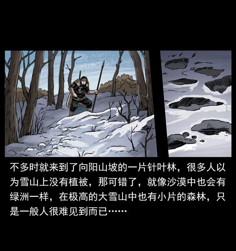 253 昆仑神兽 第28页