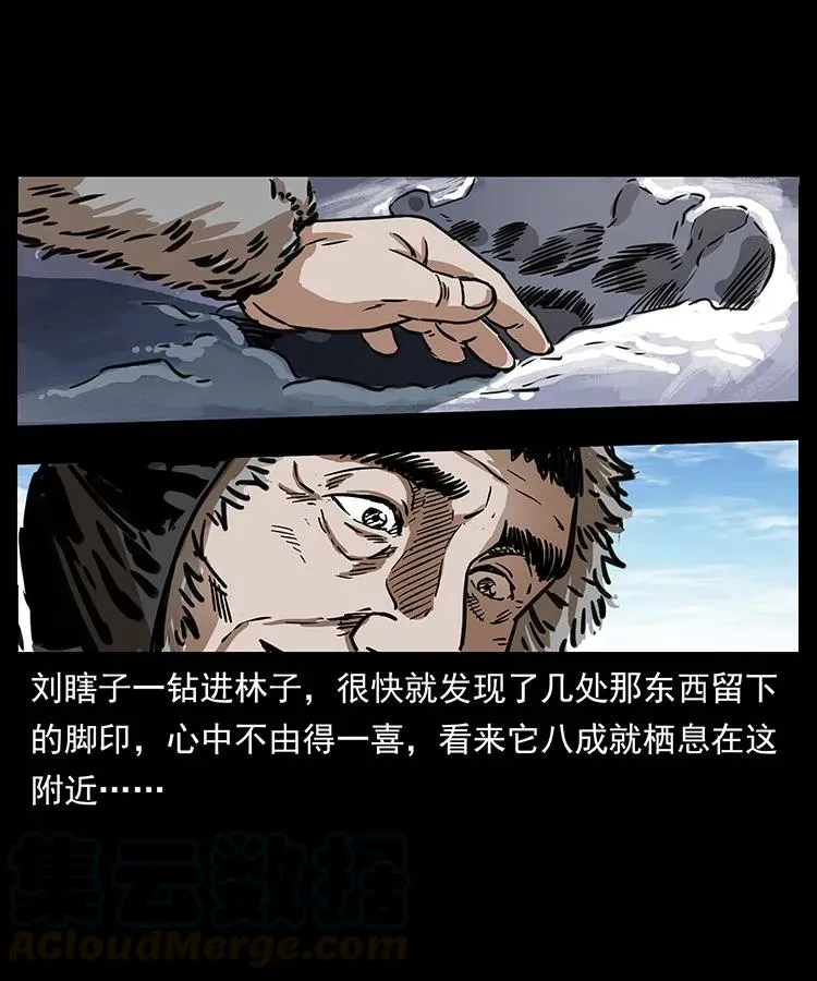 253 昆仑神兽 第29页