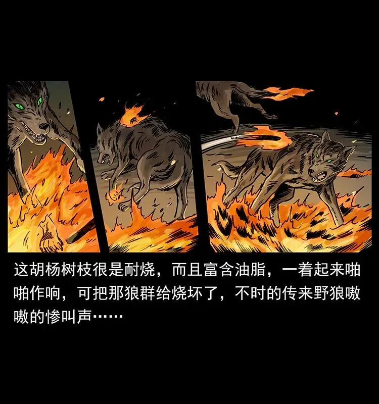 255 天阴石 第50页