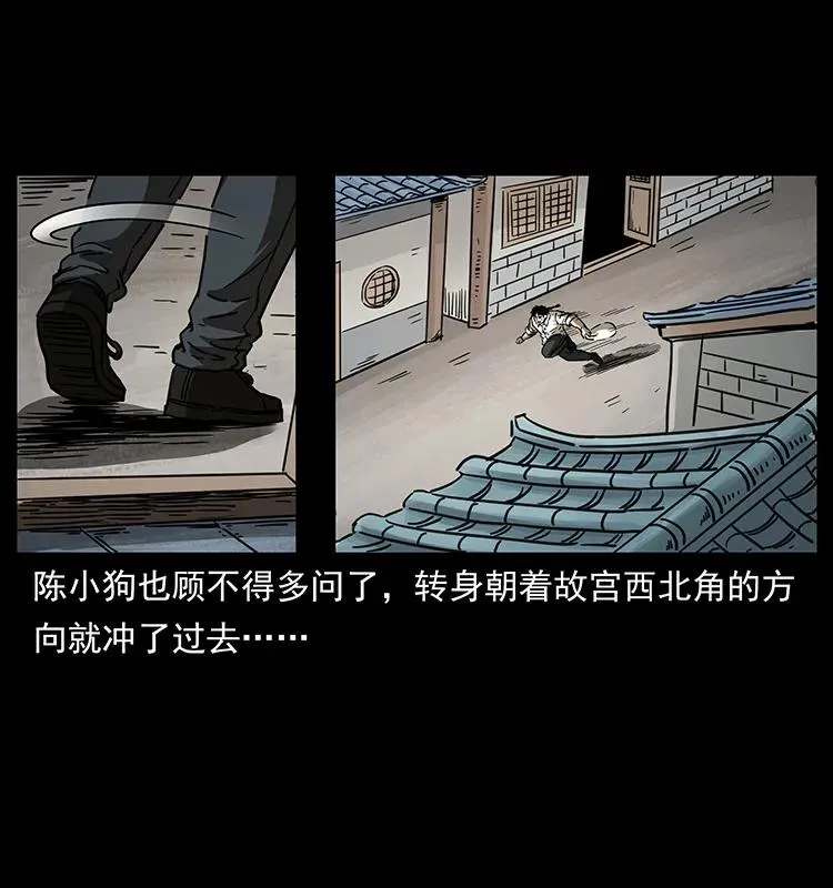 256 半间房 第51页