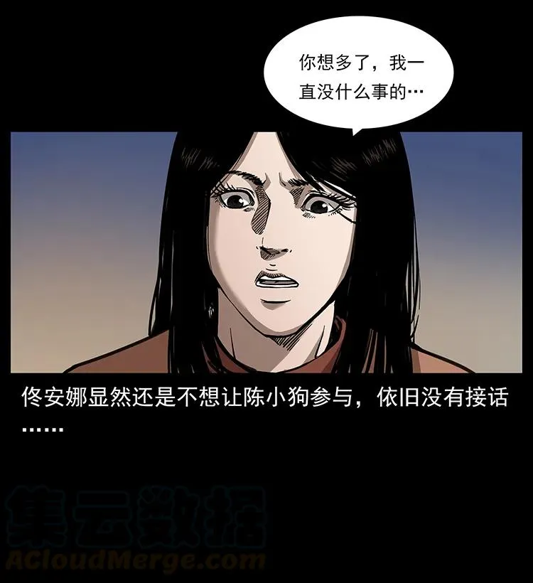 258 身后的危机 第33页