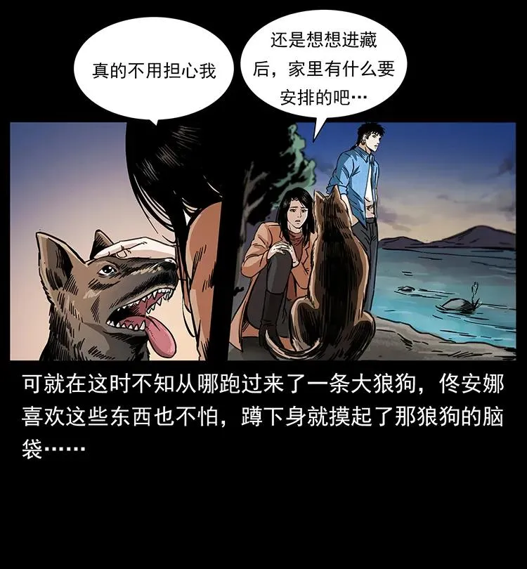 258 身后的危机 第35页