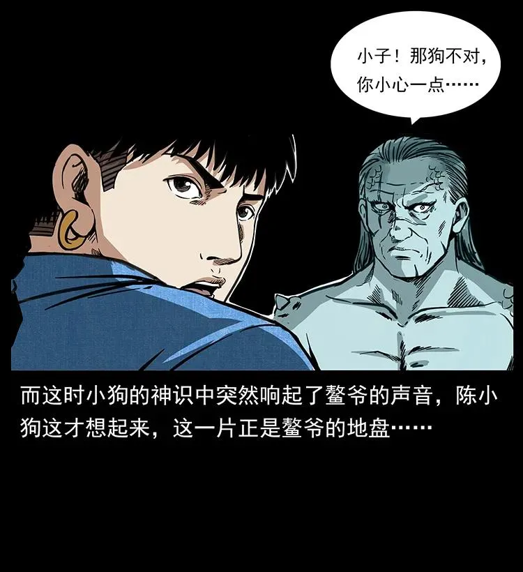 258 身后的危机 第36页