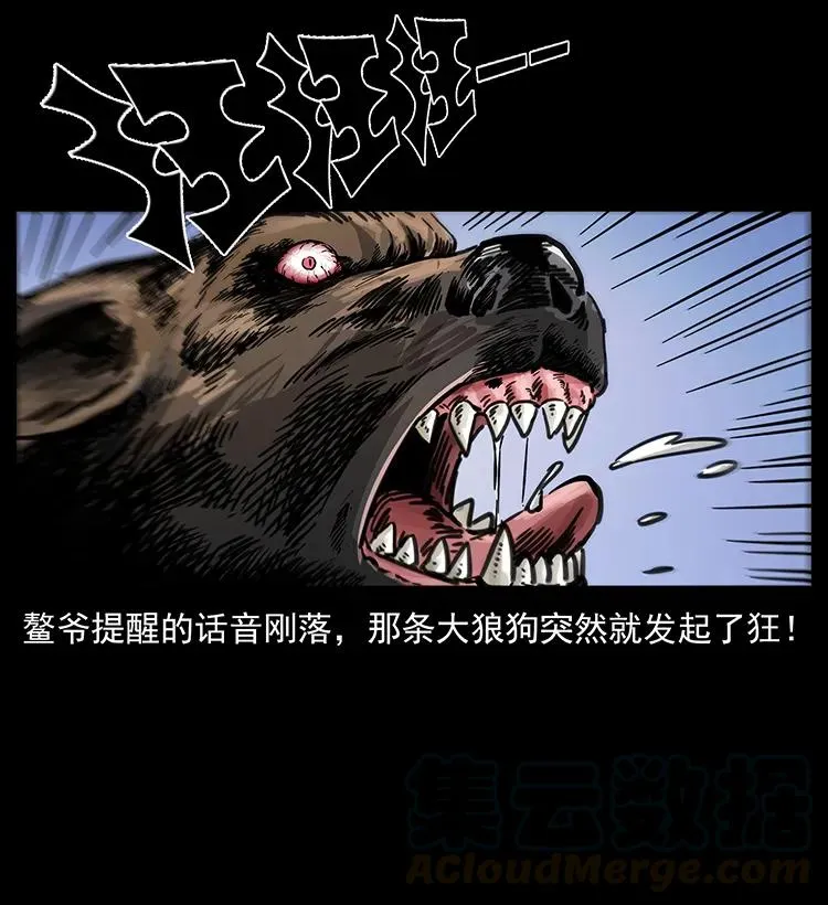 258 身后的危机 第37页