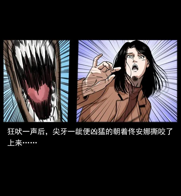 258 身后的危机 第38页