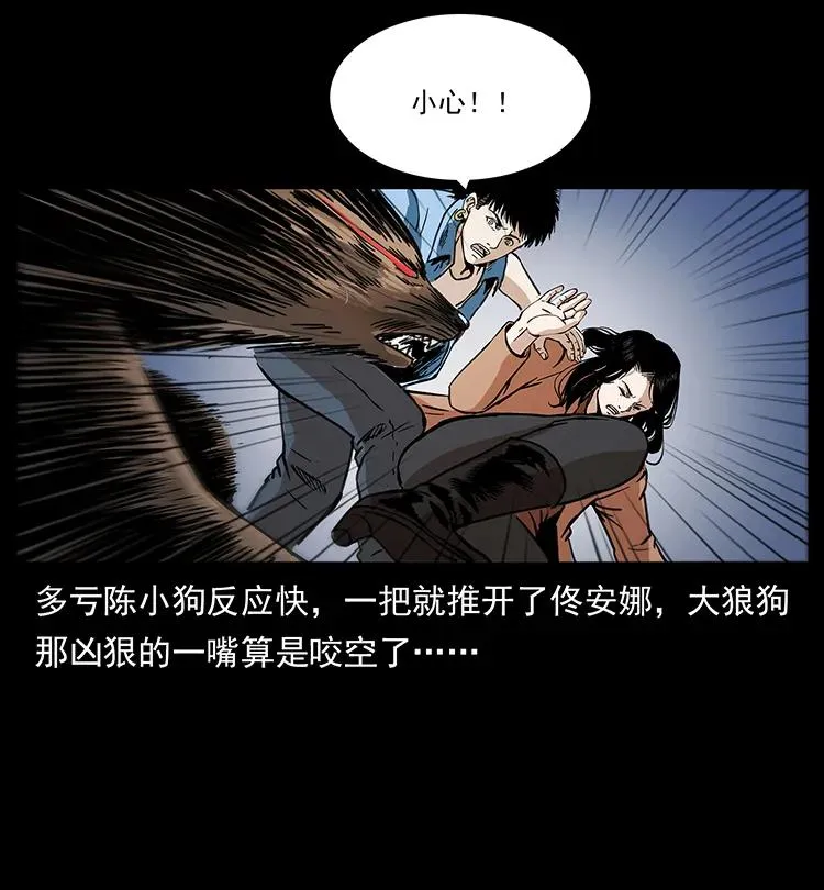 258 身后的危机 第39页