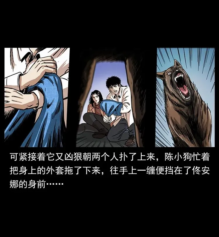 258 身后的危机 第40页