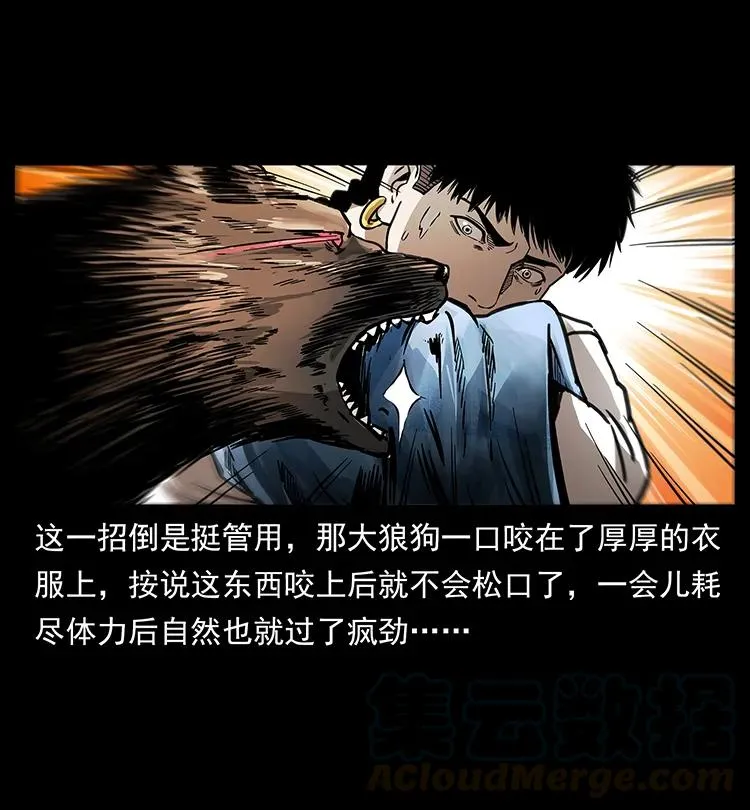 258 身后的危机 第41页