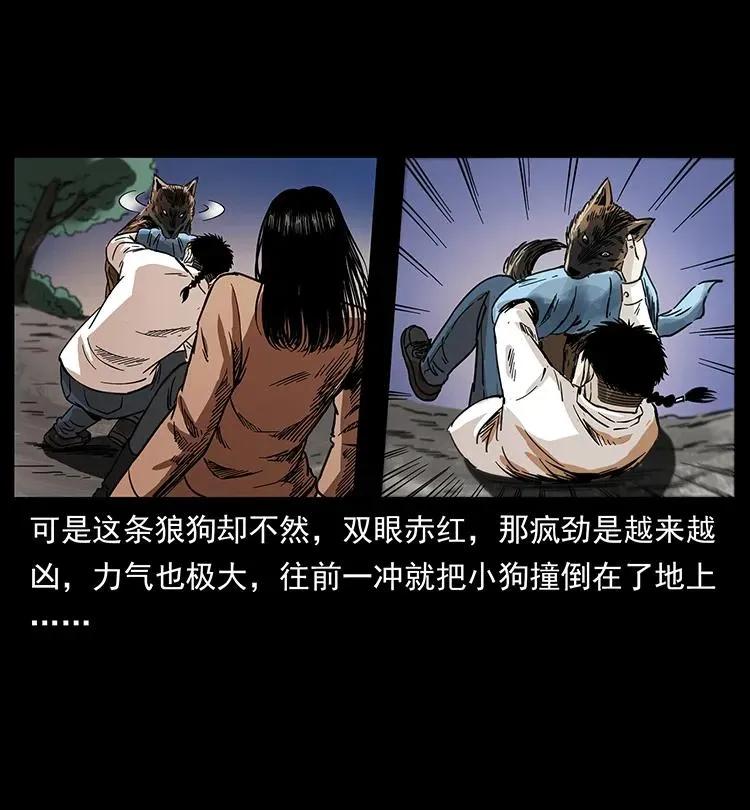 258 身后的危机 第42页