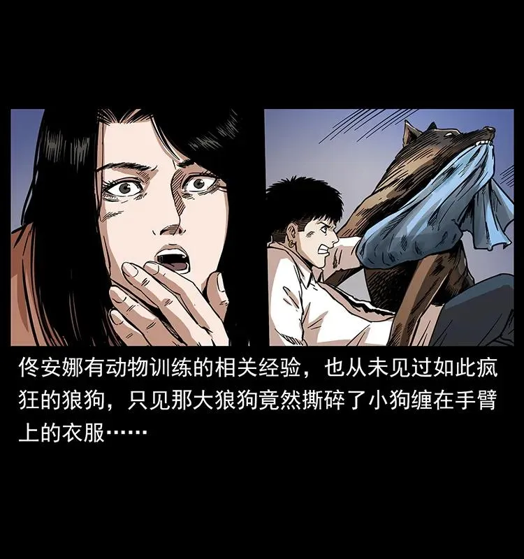258 身后的危机 第43页
