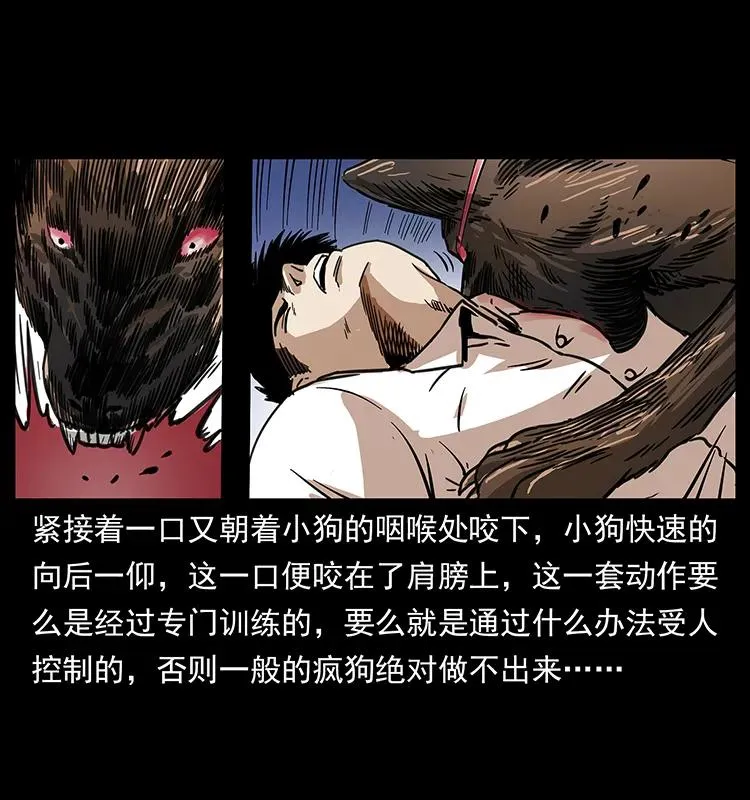 258 身后的危机 第44页