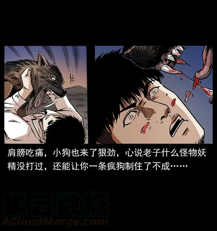 258 身后的危机 第45页