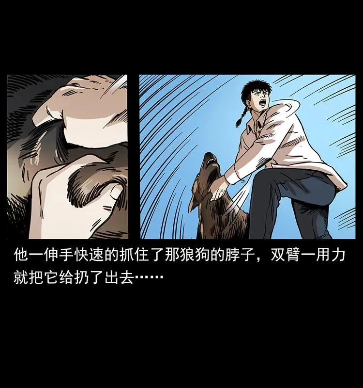258 身后的危机 第46页