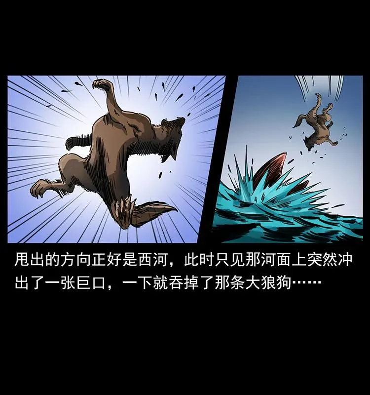 258 身后的危机 第47页
