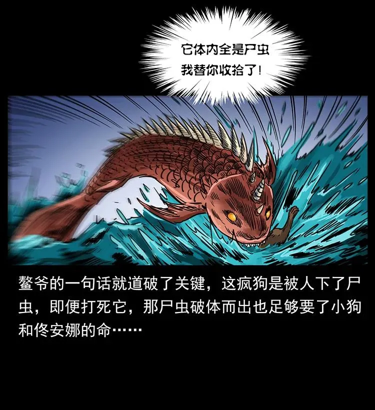 258 身后的危机 第48页