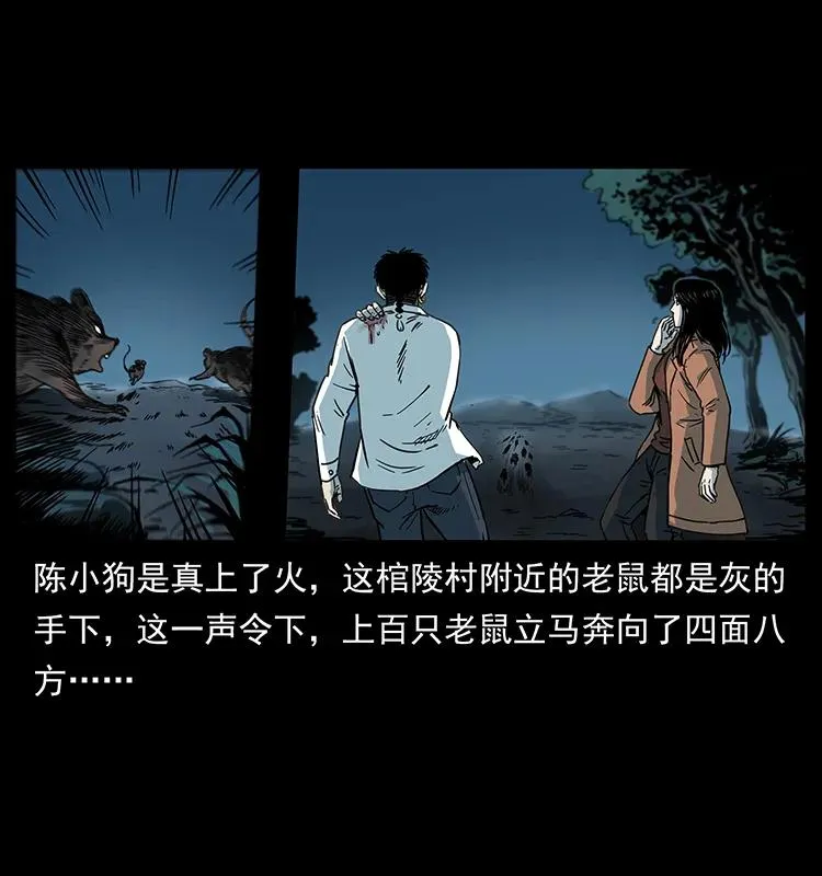258 身后的危机 第50页