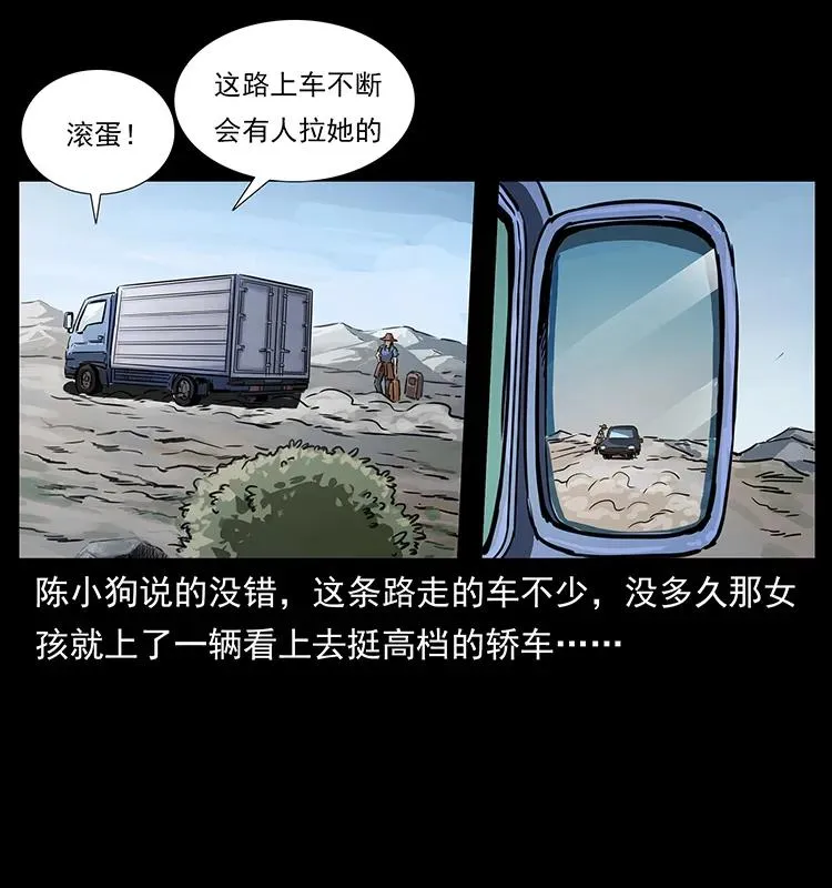 261 新藏线 第10页
