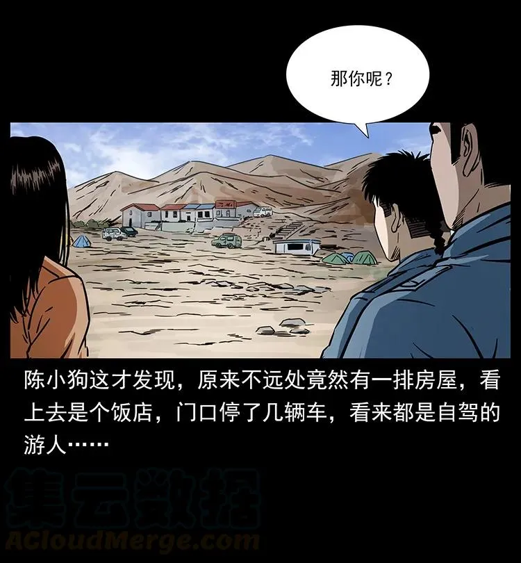 261 新藏线 第21页