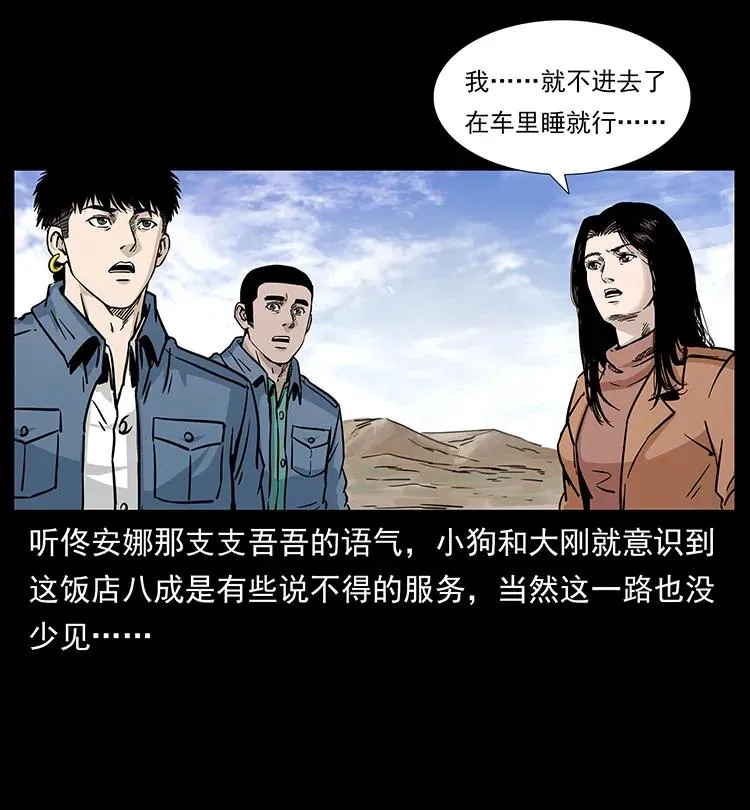 261 新藏线 第22页