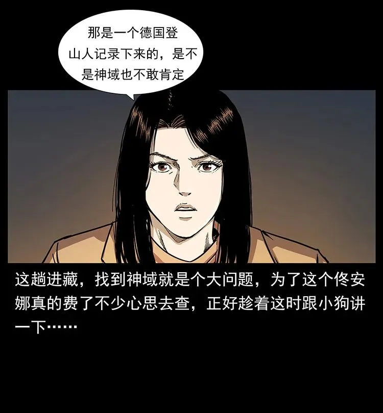 261 新藏线 第35页
