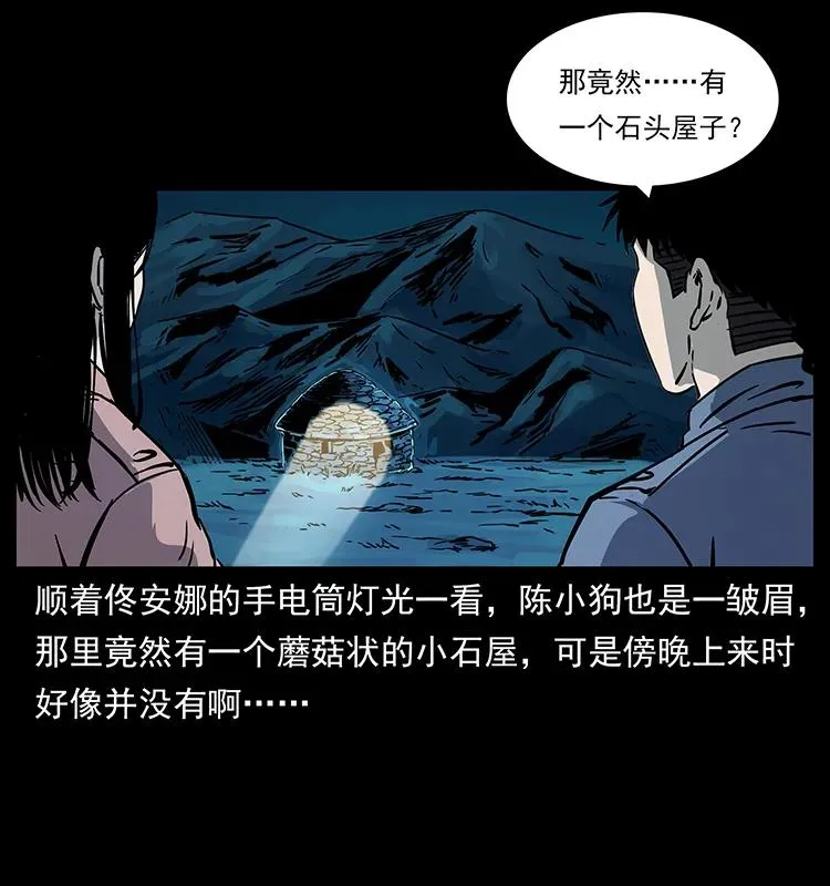 261 新藏线 第63页