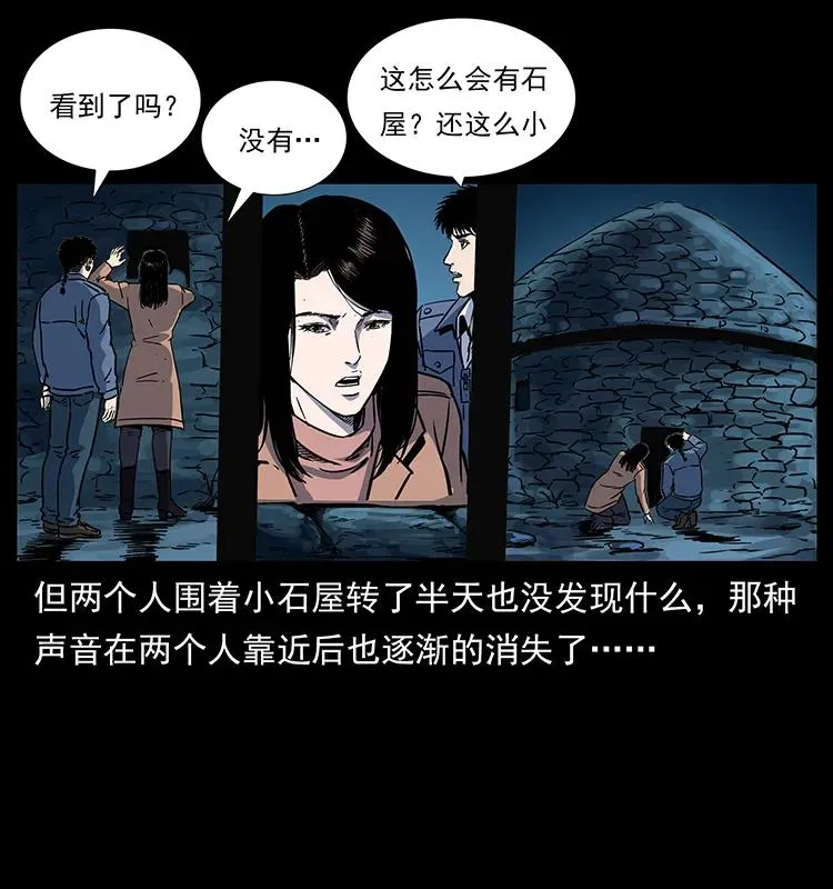 261 新藏线 第66页