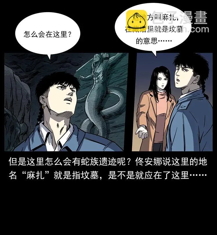 262 藏地神族 第4页