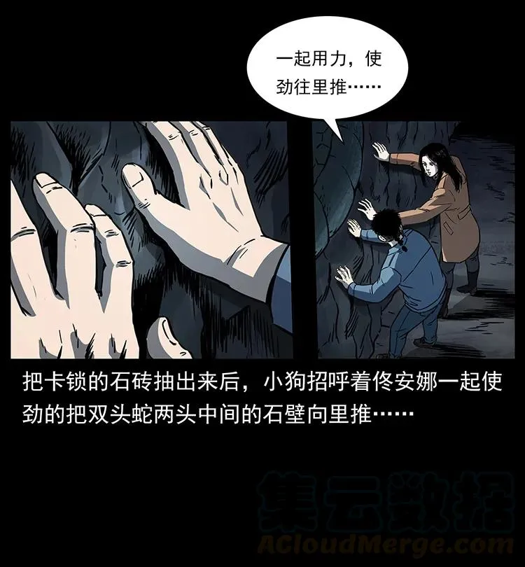 262 藏地神族 第17页
