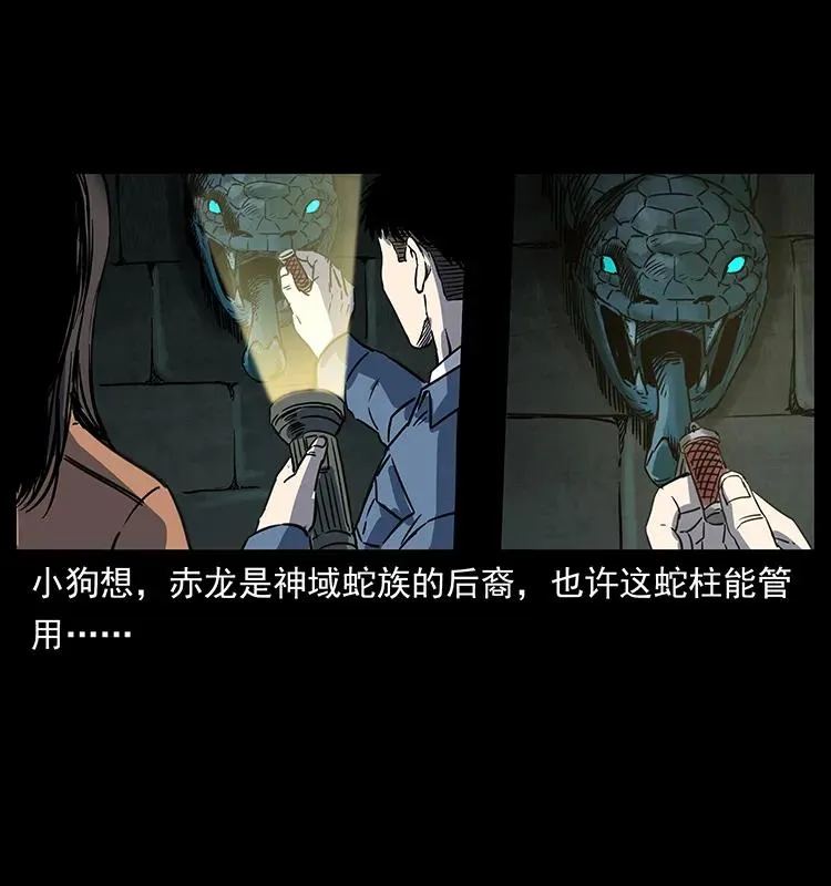 262 藏地神族 第27页