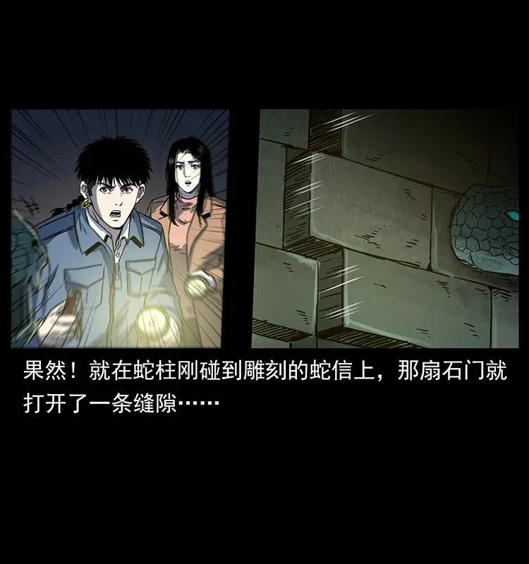 262 藏地神族 第28页