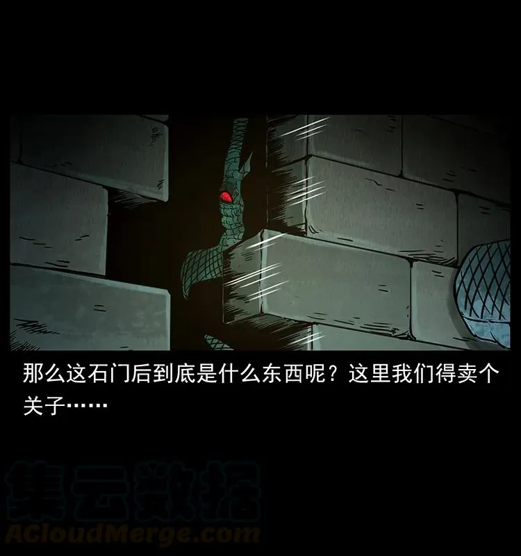 262 藏地神族 第29页