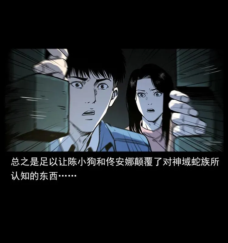 262 藏地神族 第30页