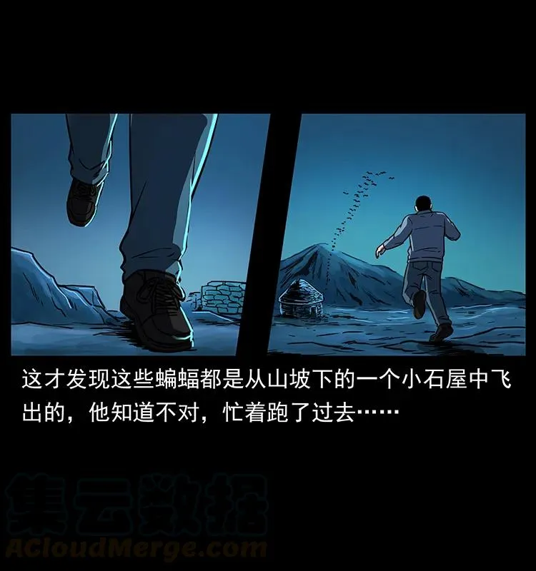 262 藏地神族 第37页
