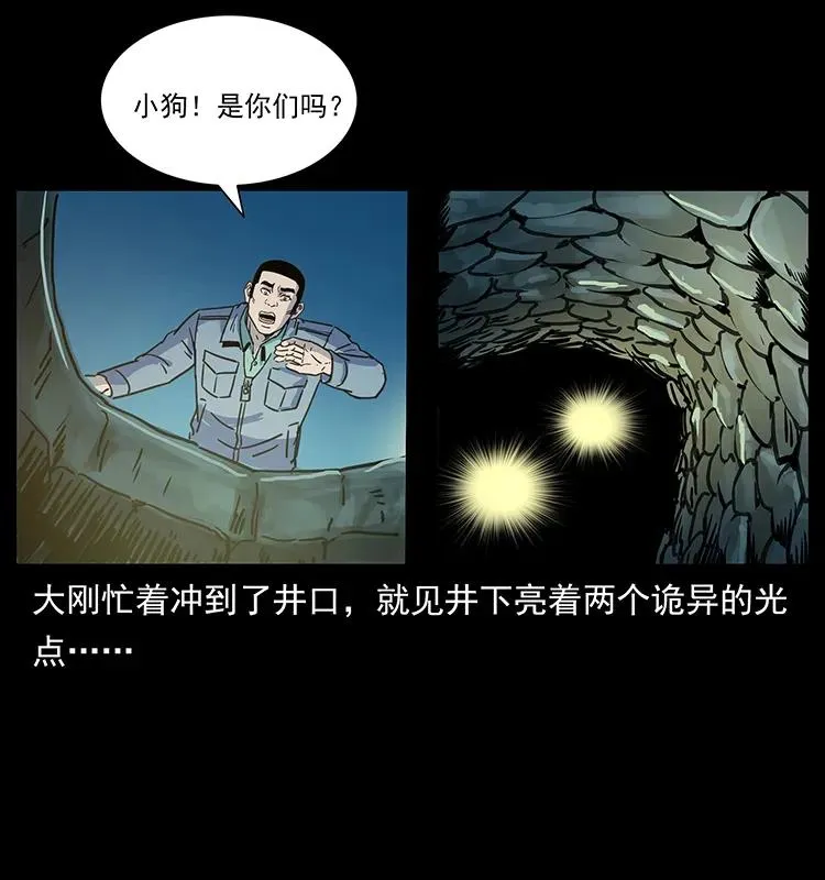 262 藏地神族 第39页