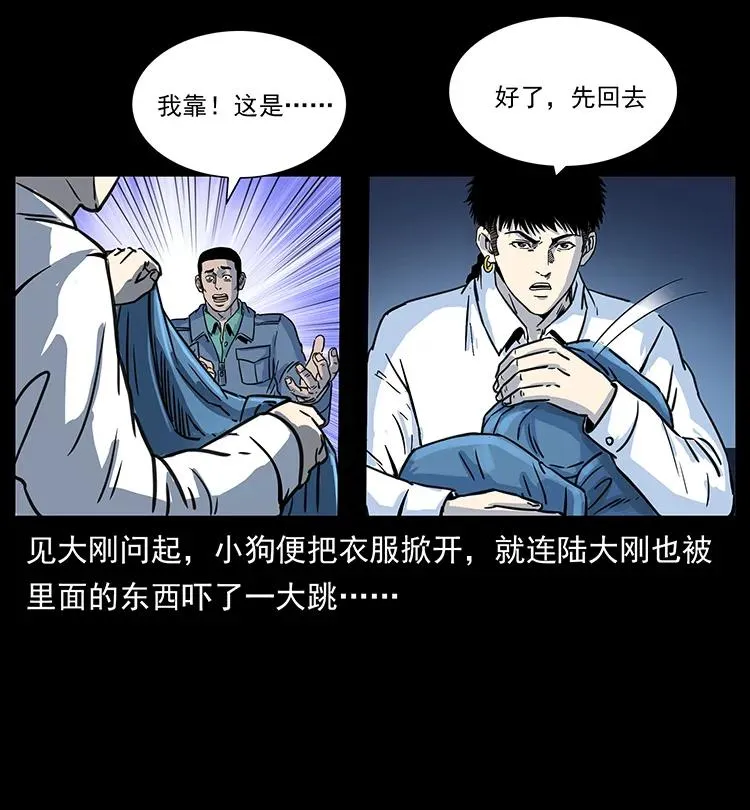 262 藏地神族 第44页