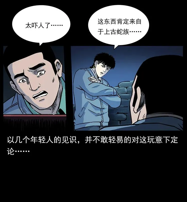 262 藏地神族 第46页