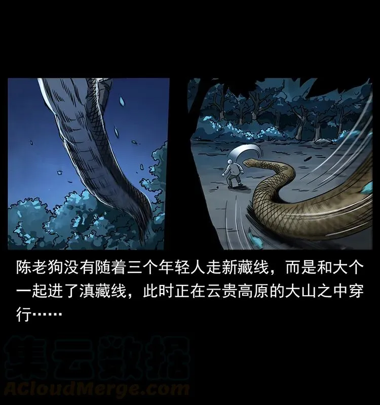 262 藏地神族 第49页