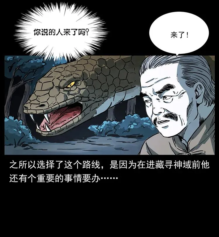 262 藏地神族 第50页