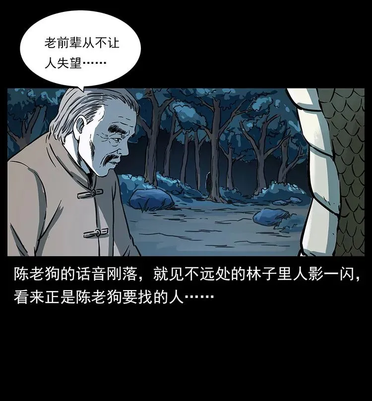 262 藏地神族 第51页